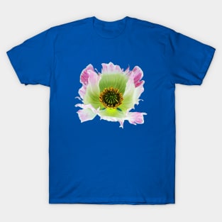 Papaver somniferum T-Shirt